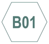 b01