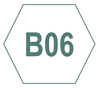b06