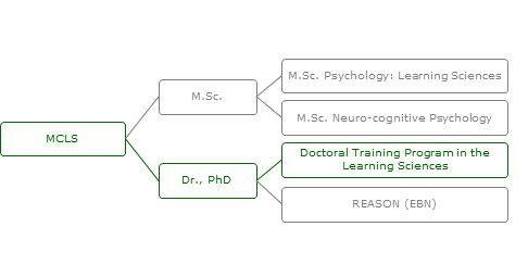 MCLS_program_structure_2014